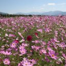 광의사거리 이미지