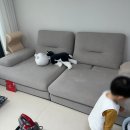 이가의안클린 이미지