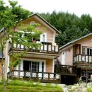 향기나라사랑이 이미지