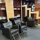 반려동물패션디자이너첫걸음 | 머리 꼴 좀 봐라, 당장 해결해야 함