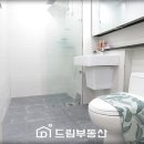 동화5차 이미지