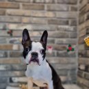 오도독뽀도독 이미지