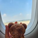 (주)도리게임즈 | 230909~230916 세부 CIA 어학원 1주차/필리핀항공/말라리아 약/엘지가든/스피치콘테스트