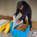 스마트농원 이미지