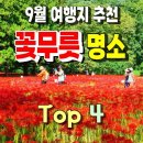 9월 가볼만한 여행지, 꽃무릇 명소 4곳 이미지