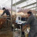 우들농장 이미지