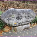 올레길 산림형 3코스 이미지