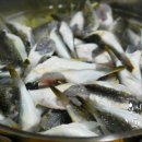 일품 복어 이미지