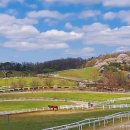 풀잎목장 이미지