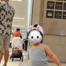 (주)바이브앤 네이버블로그