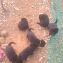 오메오메 이미지