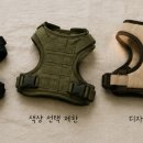 누렁이나르샤