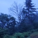 새벽숲농장 이미지