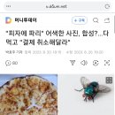 "피자에 파리" 어색한 사진, 합성?…다 먹고 "결제 취소해달라" 이미지