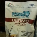 오즈동물병원 이미지