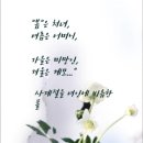 행복편지 ( 아름다운 개성(個性) // 봄 처녀//개팔자 상팔자 이미지