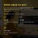 블로그 지수 확인과 상승 전략, 이것만 알면 충분하다