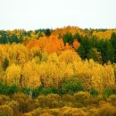 광교중앙로 266번길 이미지