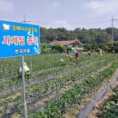 김제시니어클럽 전북도민일보