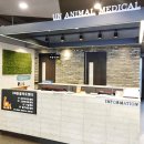 UN동물의료센터 이미지