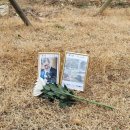 무지개독 이미지