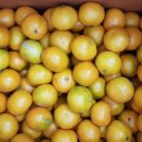 나영농장 이미지