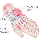 화한의원 이미지