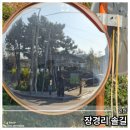 솔길 | 장경리솔길, 나만 알고 싶은 영흥도 걷기 코스
