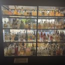 정발중학교 | [정발산/밤리단길] 일산맛집 &amp; 밤리단길데이트 맛집 &#39;최상위&#39;