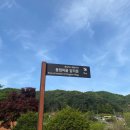 동점마을 암각문 이미지