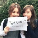 하이바비 네이버블로그