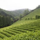 동작문화유산의 시간산책 이미지