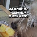 경주애견펜션 해피데이해피독 이미지