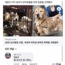 보신탕집 운영하다가 이제는 반려견 목욕탕으로 이미지