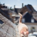 여가 민박 이미지