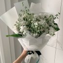 플로라소뇨마곡