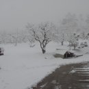 일봉농장 이미지