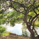 선암호수공원 아름다운 화장실 이미지