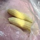 동교1리 마을회관 | 강원도 인제 아침가리계곡 트레킹 준비물, 유의사항, 당일치기 후기