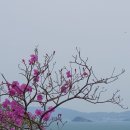 새한주