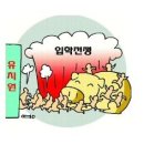 이박통상 이미지