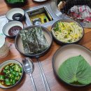 바위섬마차