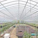 칠성면업사 이미지