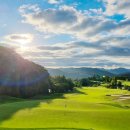 더플레이어스골프클럽 이미지