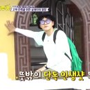 다비치투어