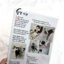 포토지 | 아기 50일 셀프 촬영 베니비디비치 소품 대여 헤드셋 컨셉
