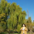 GS25 이촌진달래점 이미지