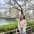 더스무스왁싱피부 군포점 네이버블로그