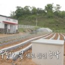 구조라별장 이미지