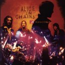 Alice In Chains - Would? (Mtv Unplugged) 이미지